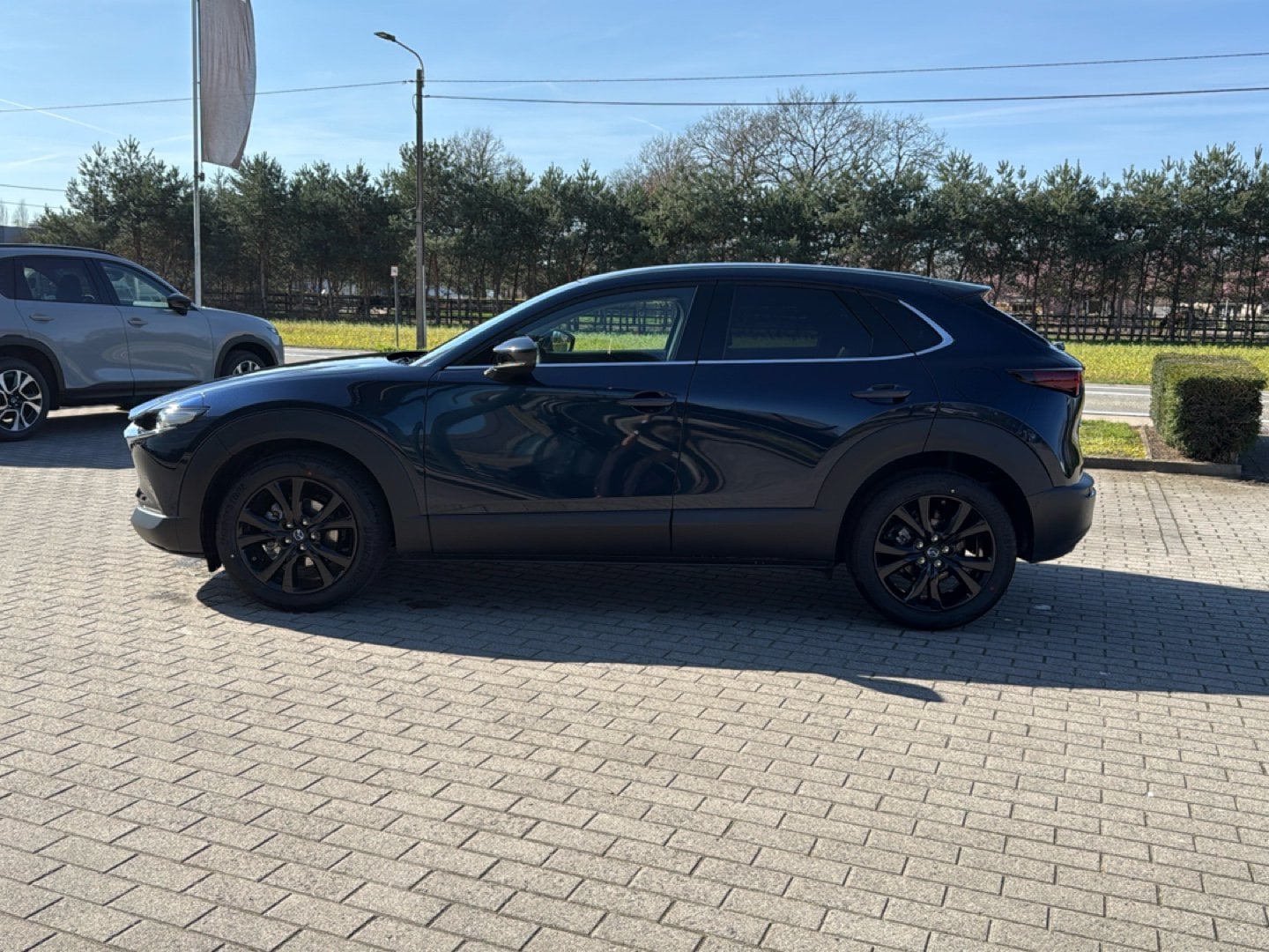 Nieuw In Voorraad Autos In Meerhout | Mazda Cx-30 E-Skyactiv-X Homura Aut - Demo Zonder Inschrijv...