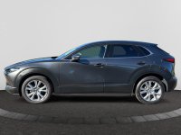 Tweedehands Autos In Meerhout | Mazda Cx-30 Sky-G 6 At Skycruise
