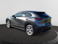 Tweedehands Autos In Meerhout | Mazda Cx-30 Sky-G 6 At Skycruise